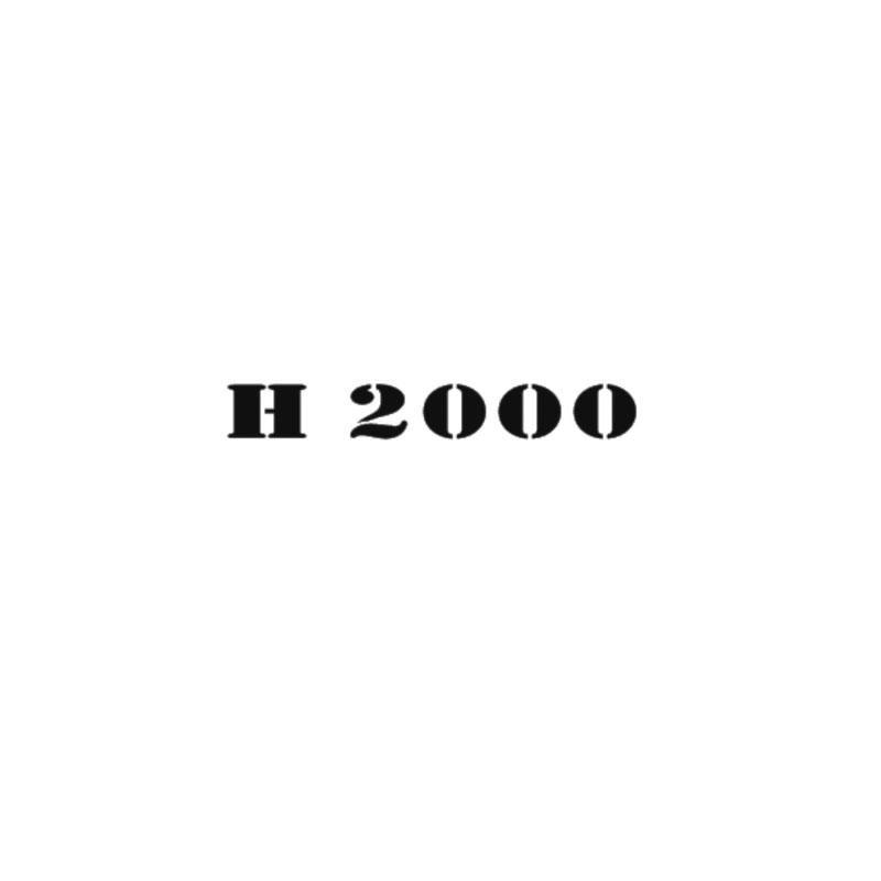 H 2000