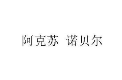 阿克苏 诺贝尔