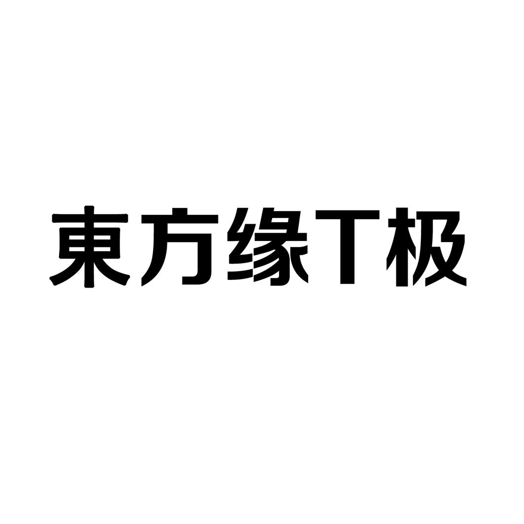 东方缘T极