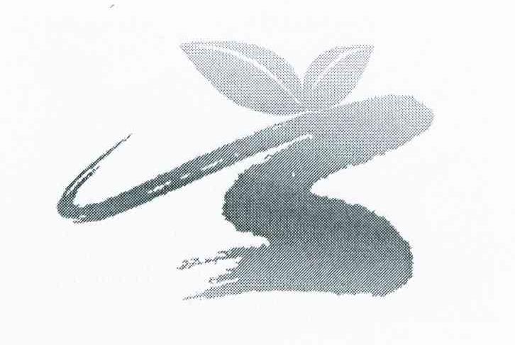 图形