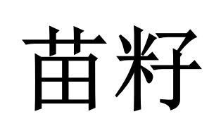 苗籽