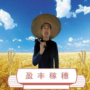 盈丰稼穗