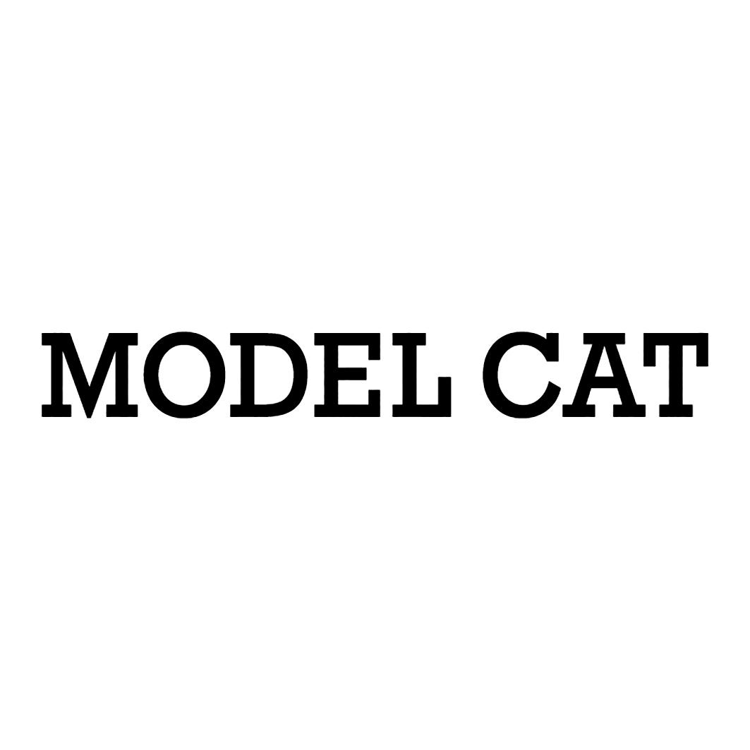 MODEL CAT