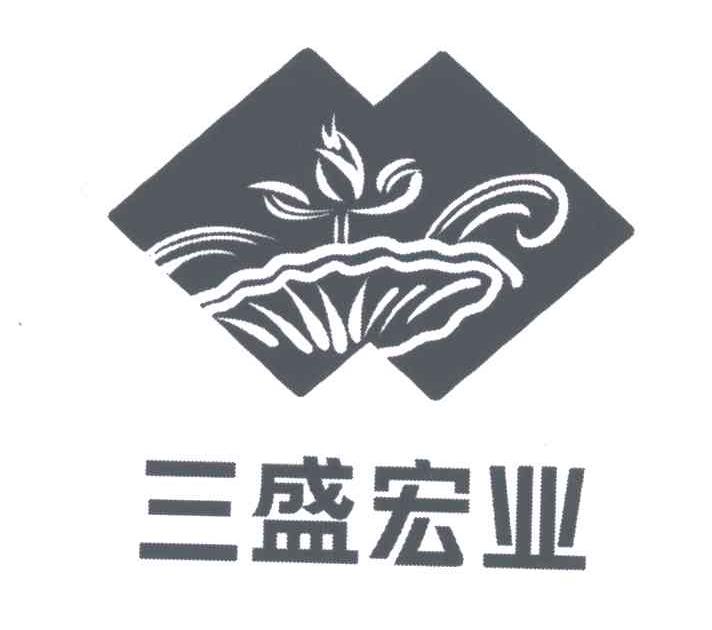 三盛宏业