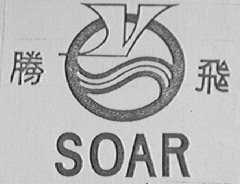 腾飞