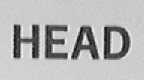 HEAD