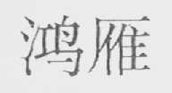 鸿雁
