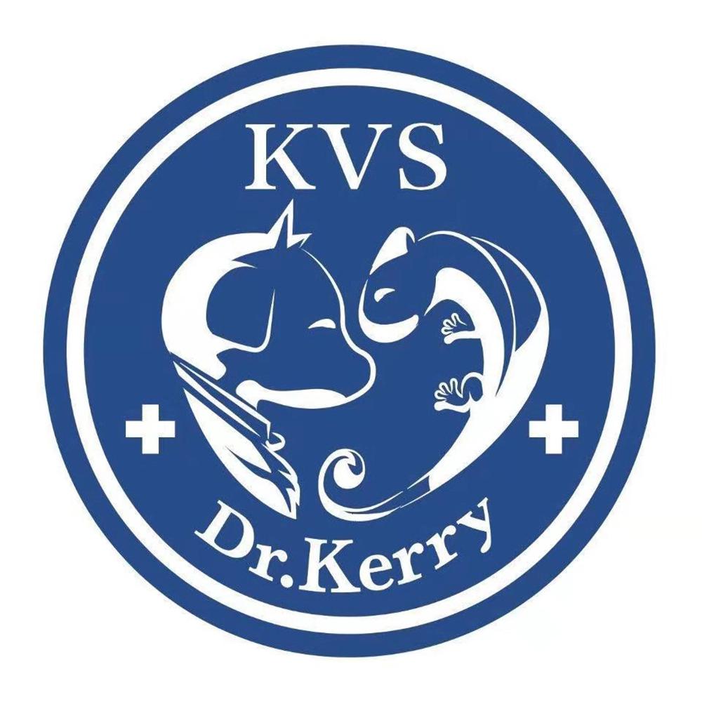 KVS DR.KERRY