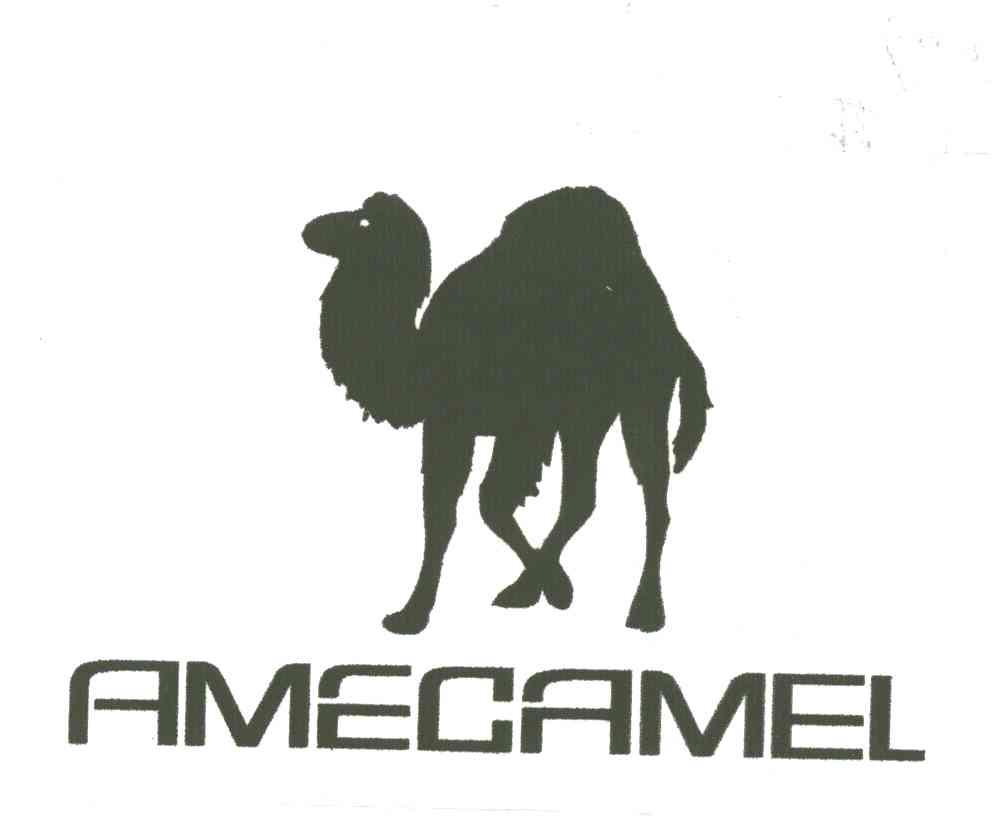 AMECAMEL及图