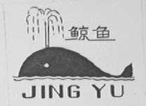 鲸鱼