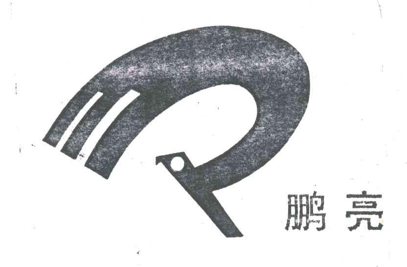 鹏亮