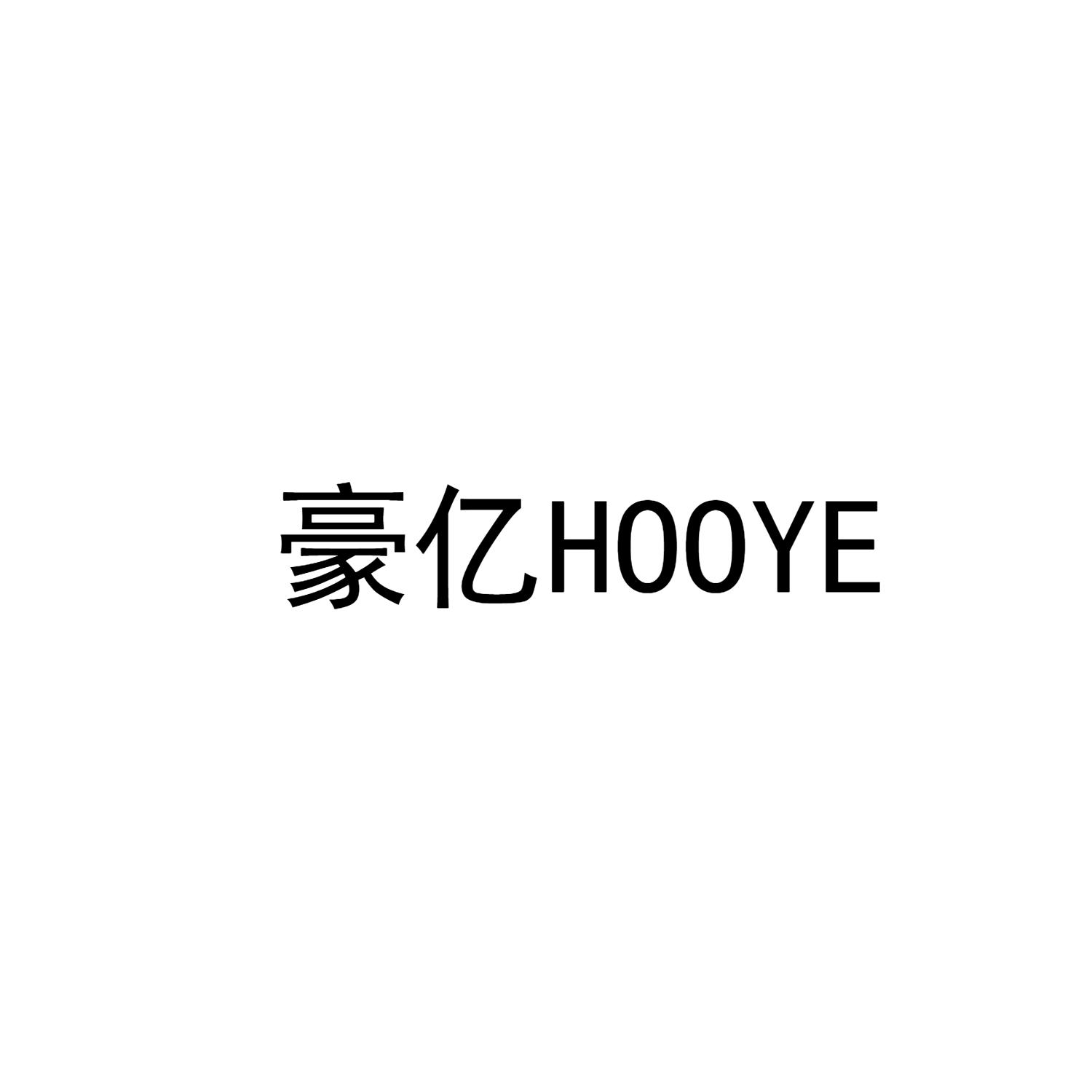 豪亿  HOOYE