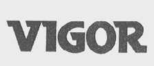 VIGOR