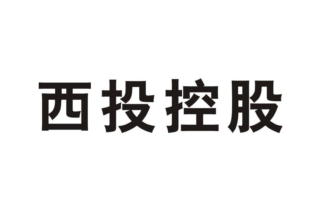 西投控股