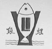 银鲤