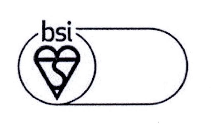 BSI