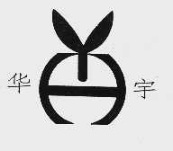 华宇