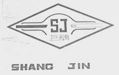 上精