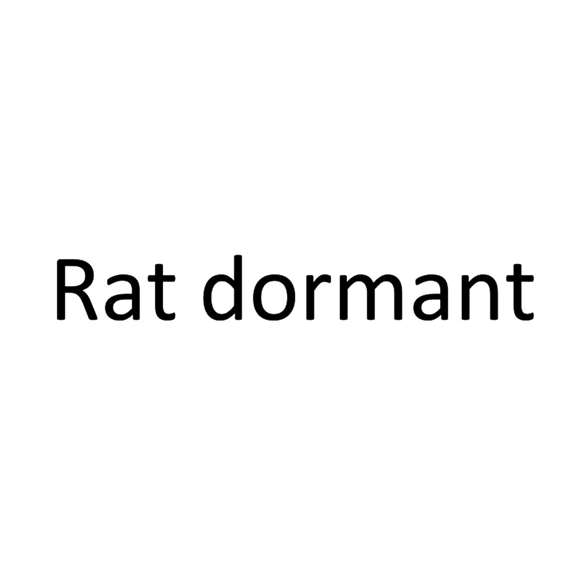 RAT DORMANT