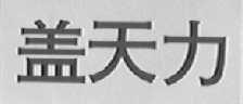 盖天力
