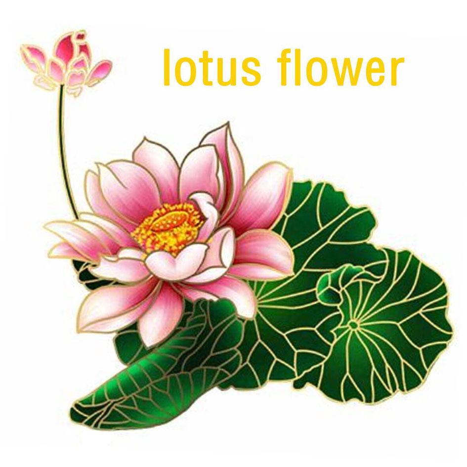 LOTUS FLOWER