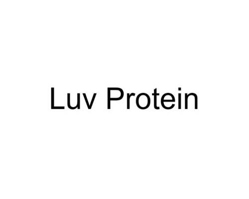 LUV PROTEIN