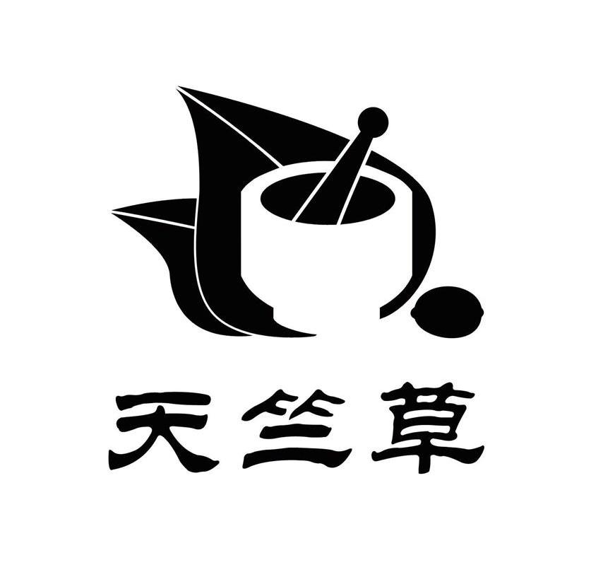 天竺草
