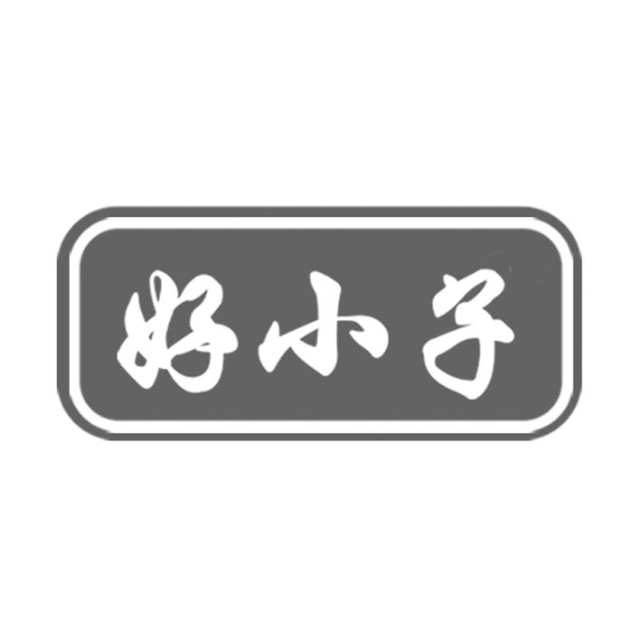 好小子