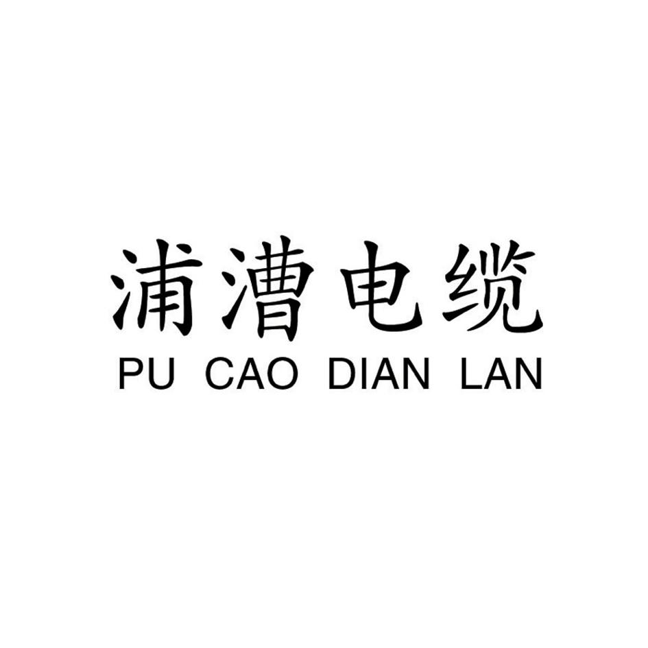 浦漕电缆