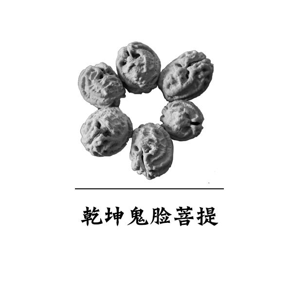 乾坤鬼脸菩提