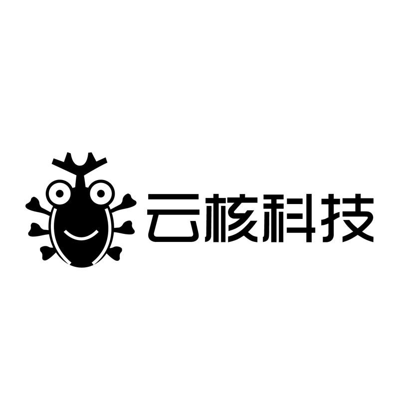 云核科技