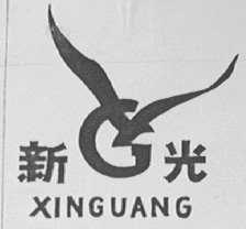 新光