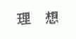 理想