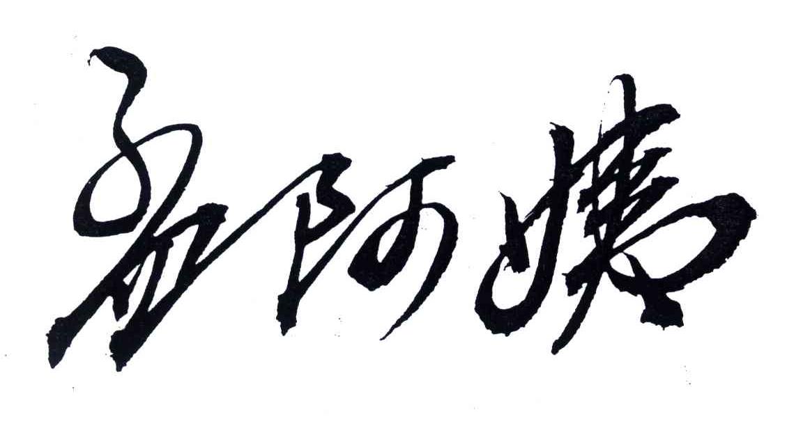 孟阿姨