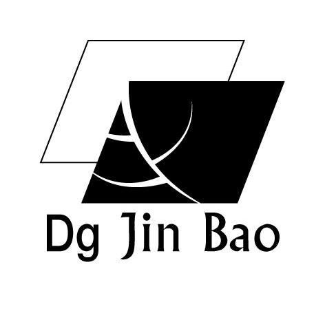 DG JIN BAO