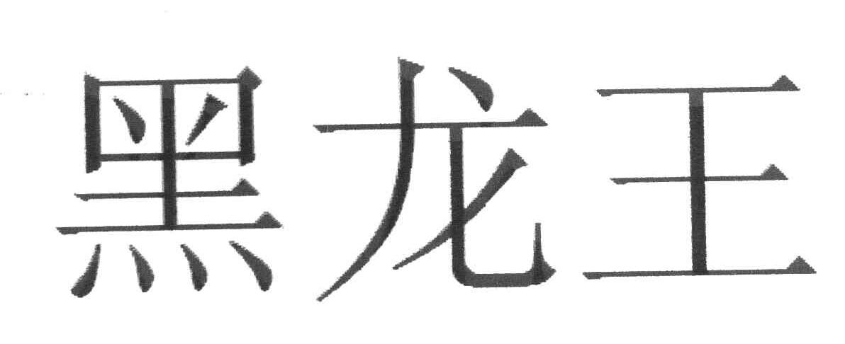 黑龙王