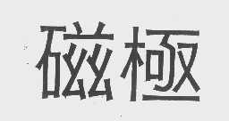 磁极