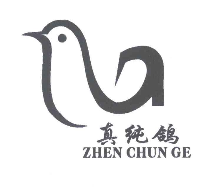 真纯鸽
