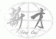 新才;XING CAI