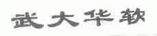 武大华软