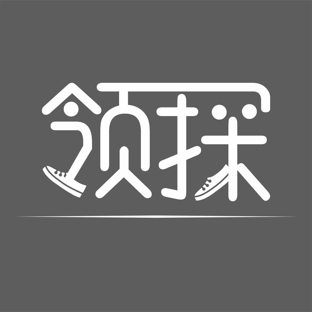 领探