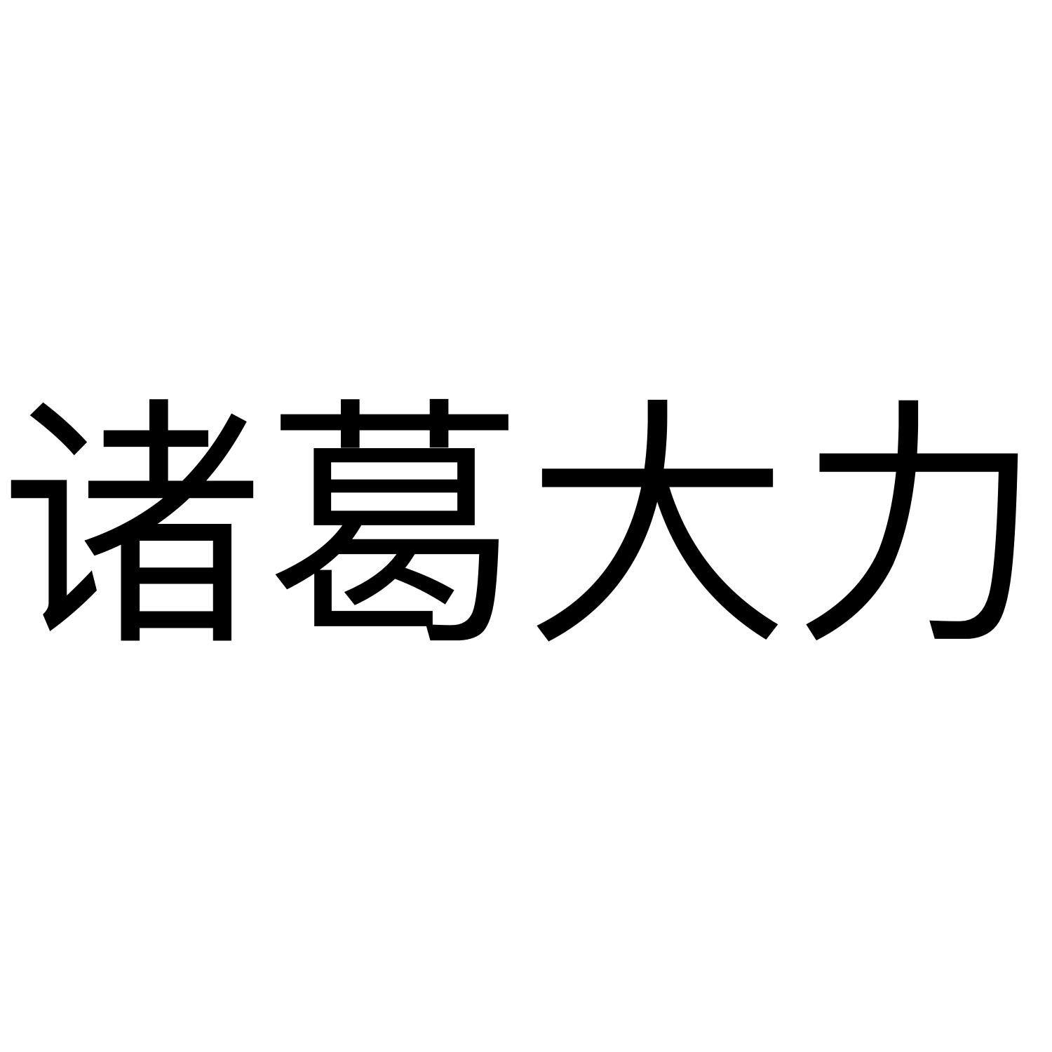诸葛大力
