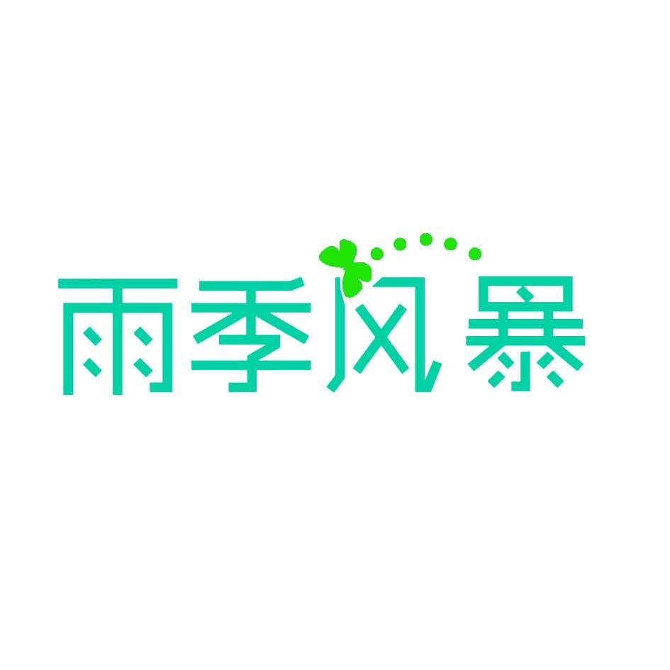 雪季风暴