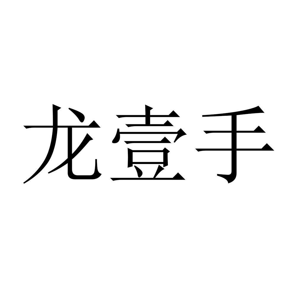 龙壹手