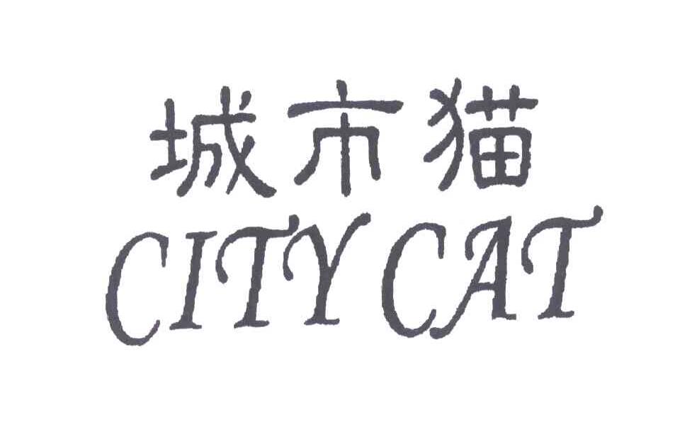 城市猫;CITY CAT