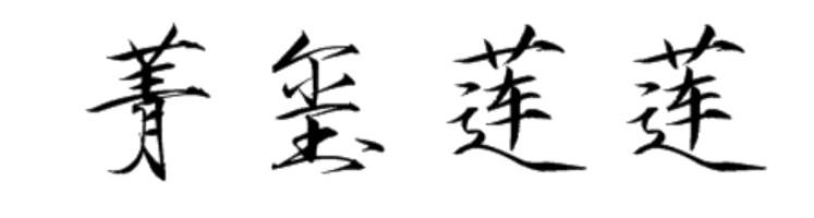 菁玺莲莲