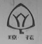 琼花