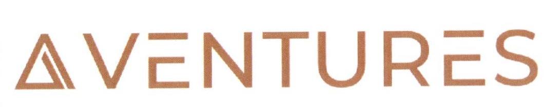 VENTURES