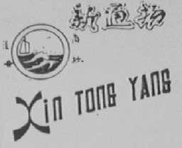 新通扬