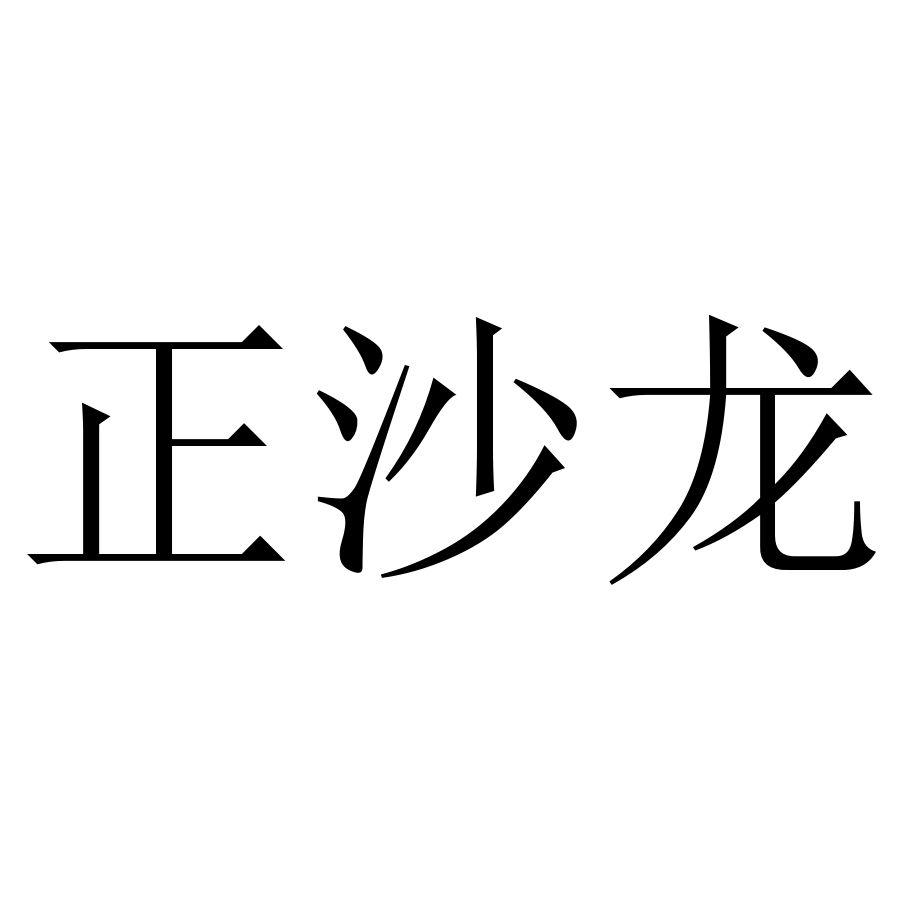 正沙龙